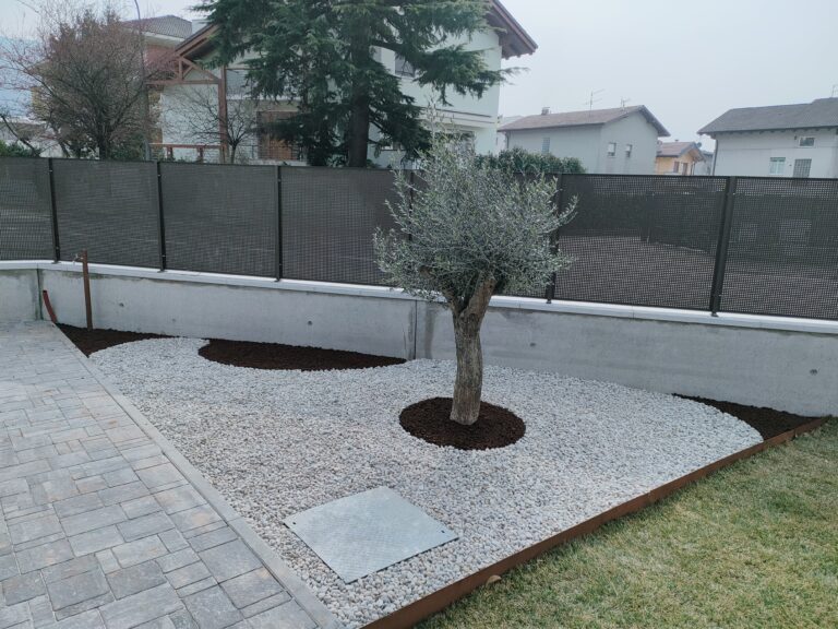 IMG20220318112709