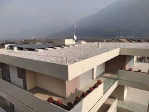 IMG20240208115958